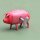 Tin toy - collectable toys - Polly the pig