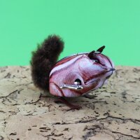 Tin toy - squirrel tin animal reddish brown