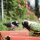 Blechspielzeug pickender Vogel 9cm stabil Blechvogel Aufziehvogel