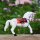 Tin toy - collectable toys - Horse - white