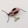 Tin toy - collectable toys - Smart Mouse