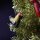 Blechanhänger - Hahn - gelb - Anhänger für Weihnachtsbaum